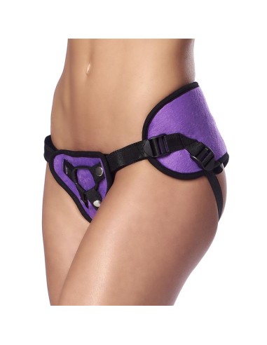 Arnes Ajustable Purpura